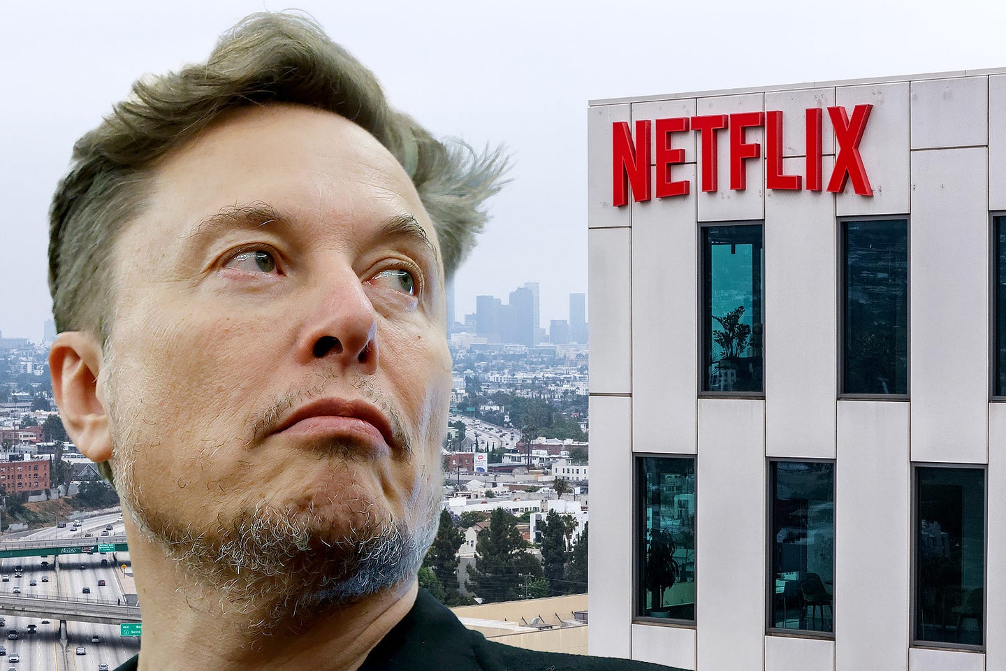 Why Elon Musk and Marjorie Taylor Greene are boycotting Netflix.