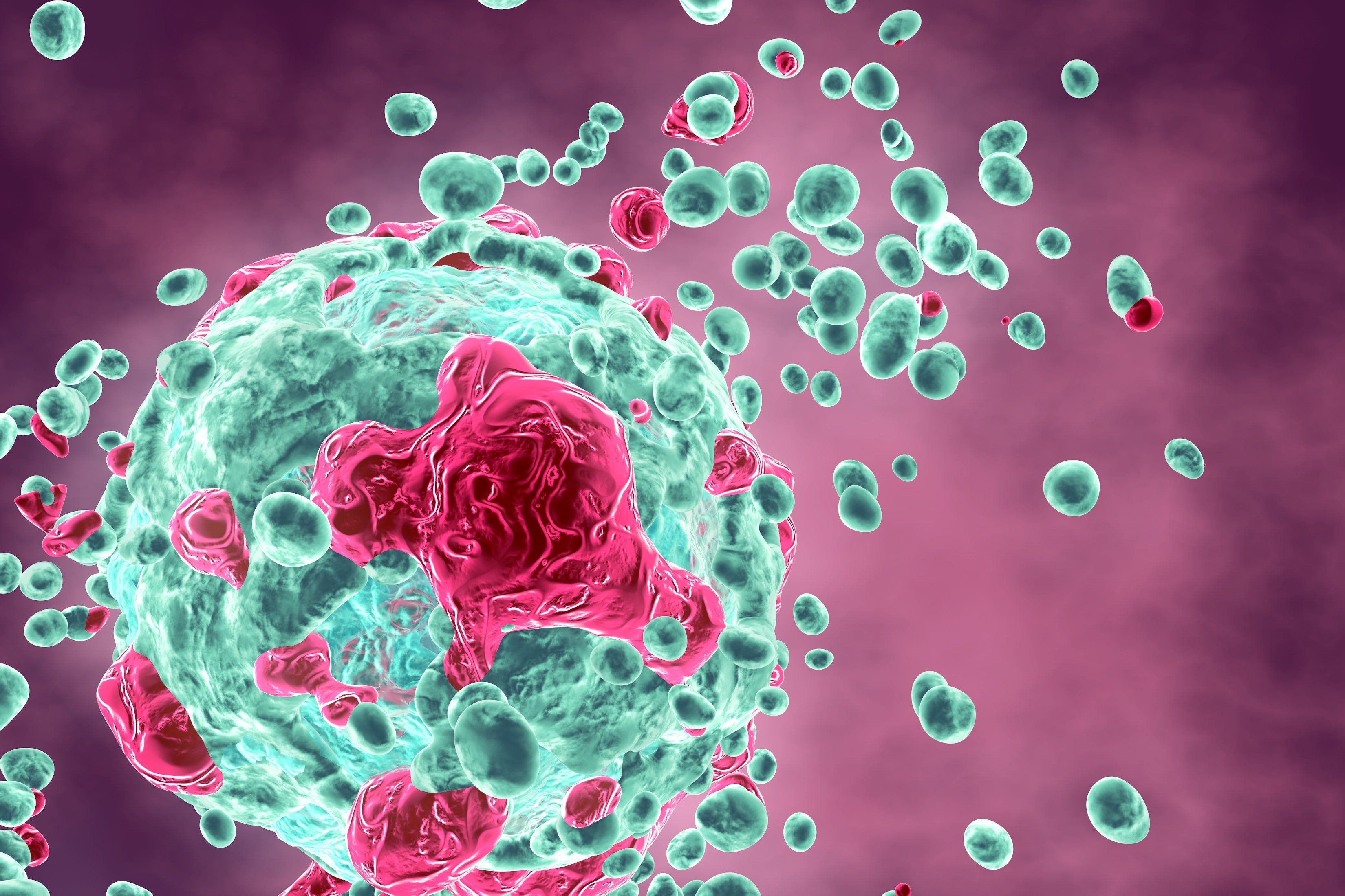 A medical illustration of cancer cells attacking healthy cells.