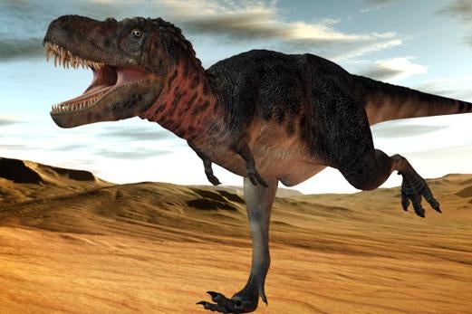 Tarbosaurus bataar smuggling case: Dinosaur fossil dealers steal bones ...