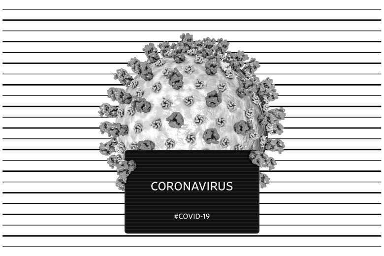 A 3D model of the novel coronavirus against a mugshot background