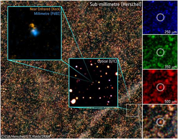 Observations of the massive and distant galaxy HFLS3
