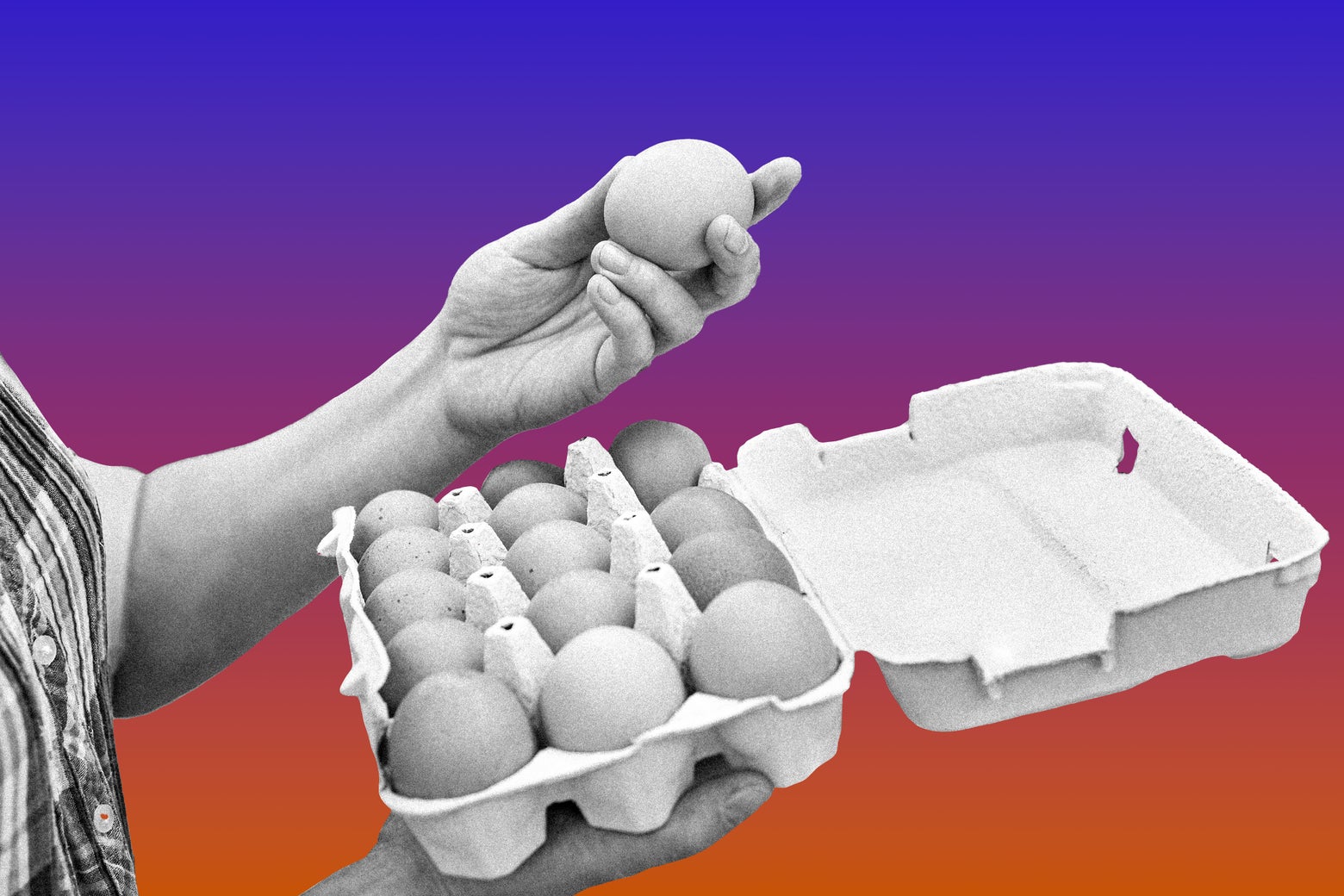 Cracking the Egg Crisis