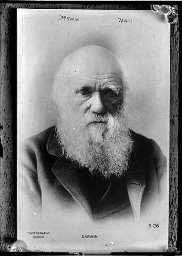 Charles Darwin, circa 1870, glass negative.