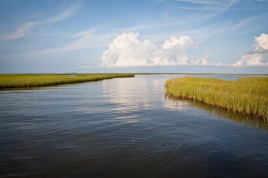 Canal cut through Bayou Pointe-aux-Chien by the oil and gas companies.