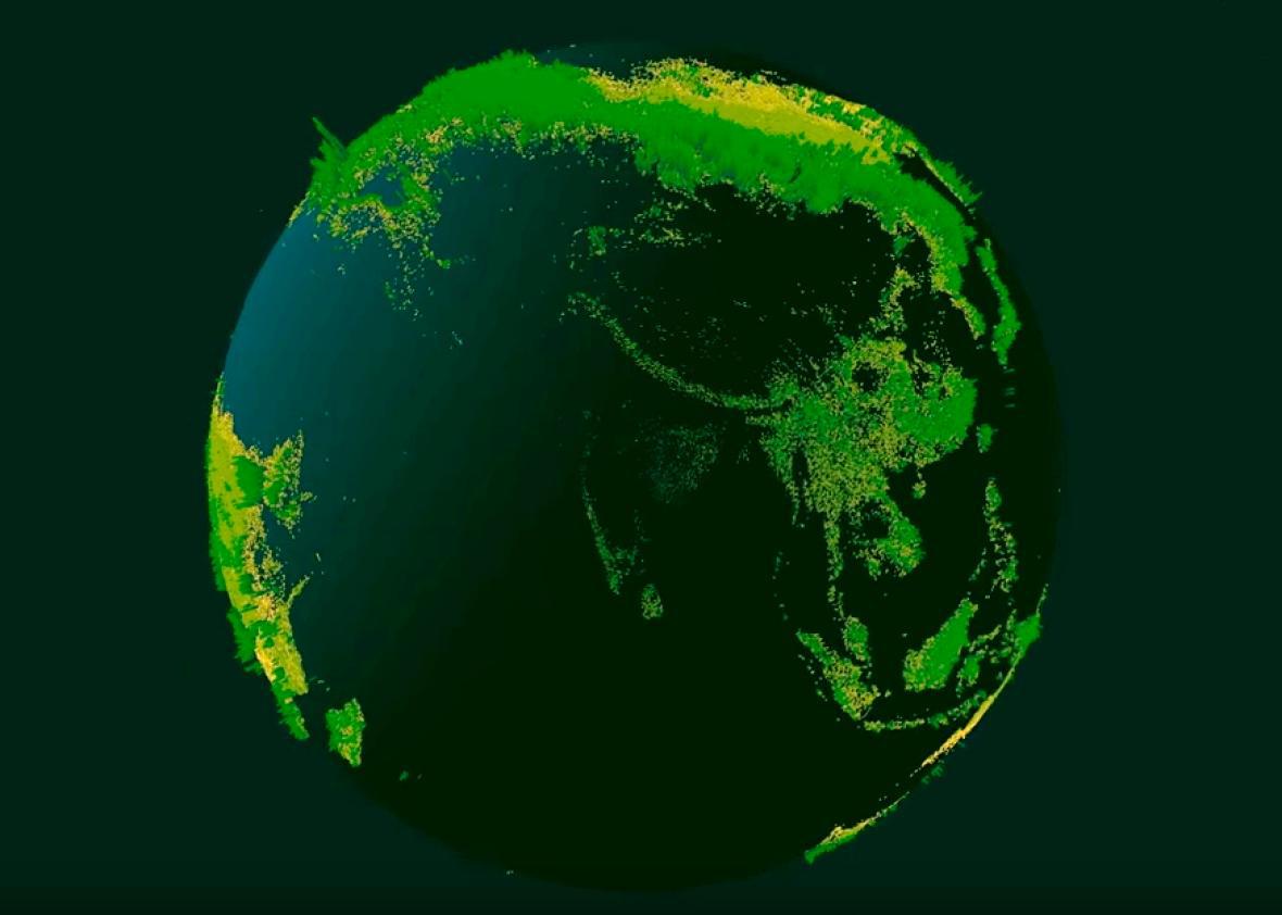How many trees are there on Earth? Study counts, and says 10 billion