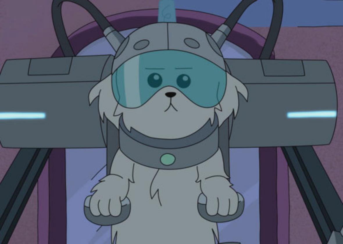 Cybernetic dog on "Rick & Morty" season 1, episode 2 "Lawnmower Dog"
