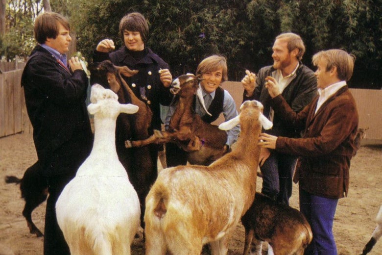 Five men stand petting goats in a zoo.