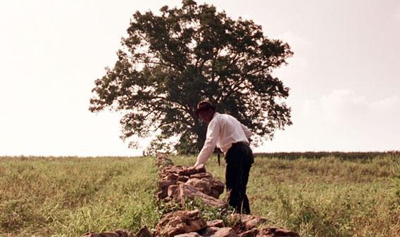 Terrence Malick, Stanley Kubrick, and other directors obsessed ...