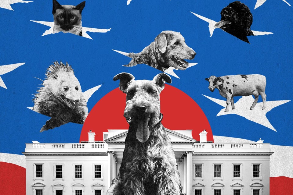 Presidential pets: The best dogs, cats, possums, racist parrots, and ...