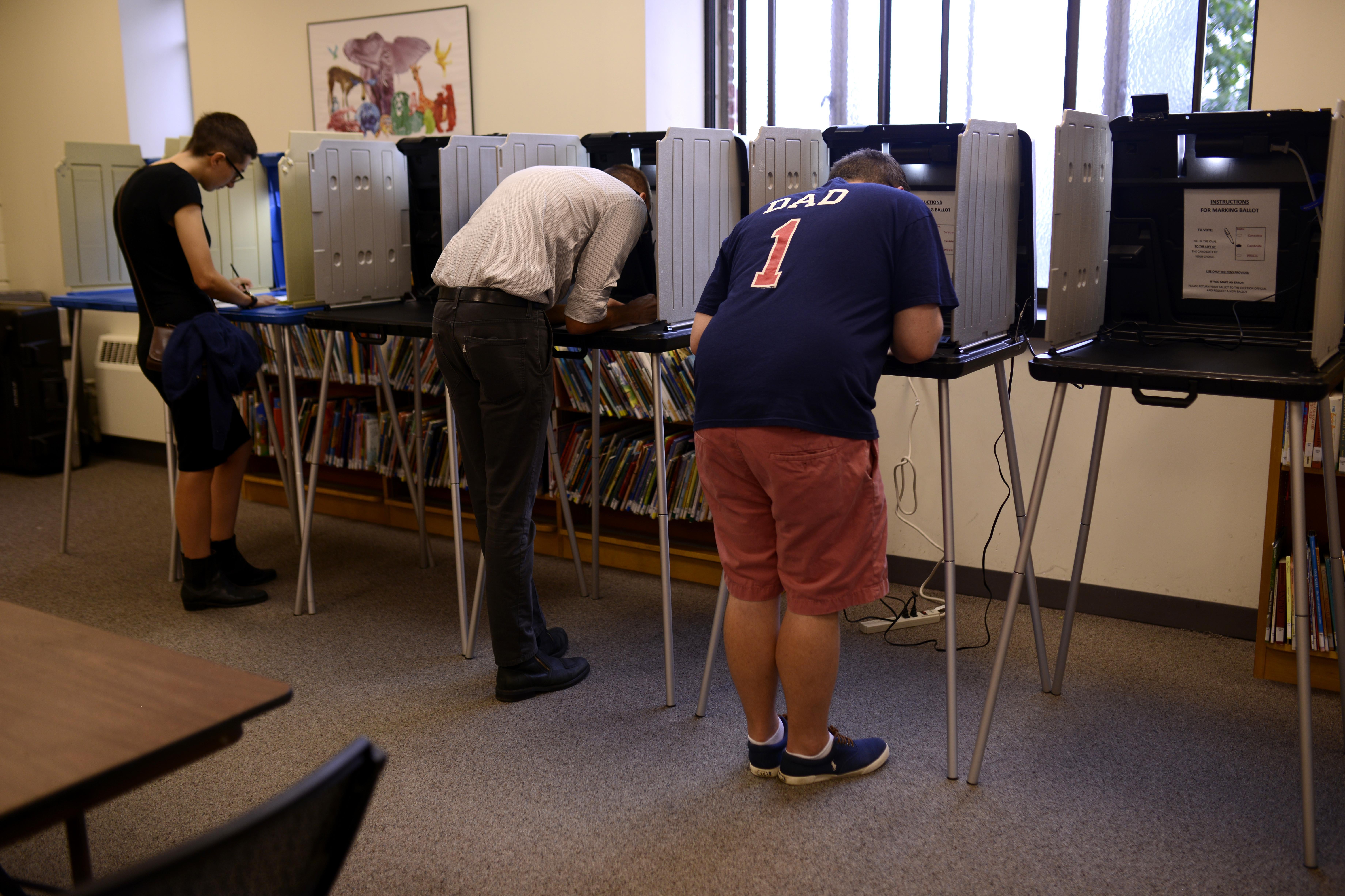 People stand at voting booths in a library.