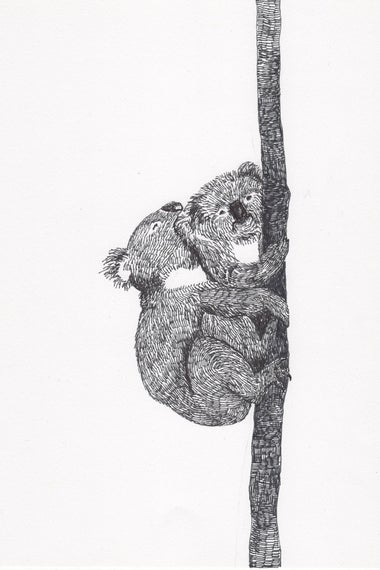 Koalas doin' it.