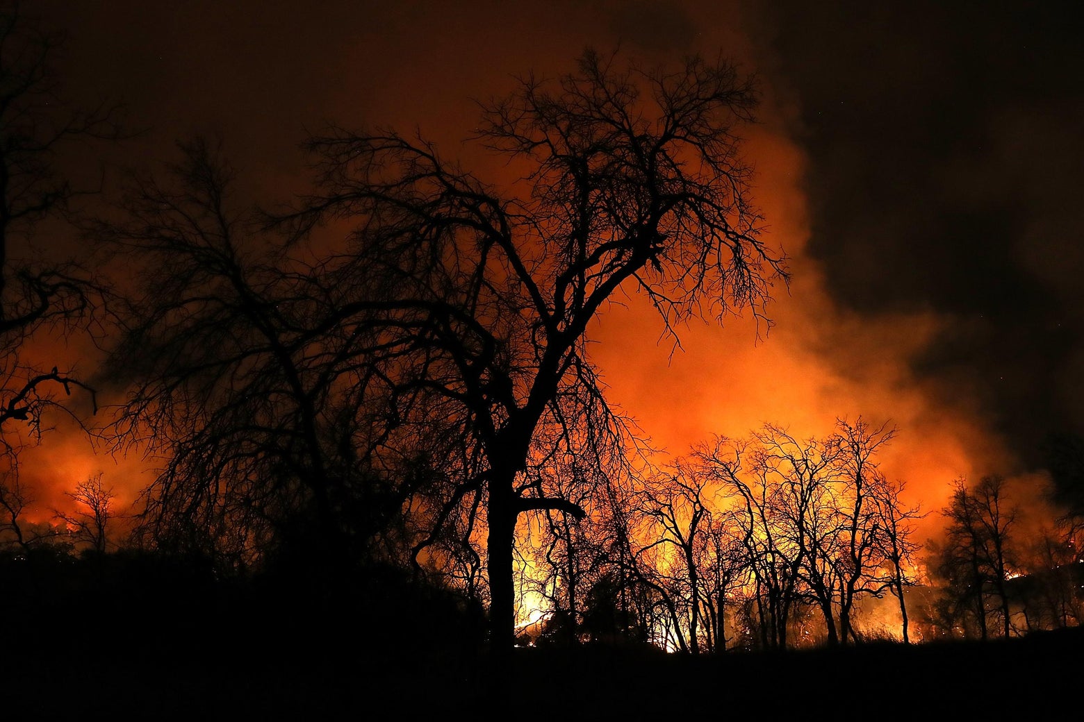 The California Energy Utility That May Have Sparked the Deadly Camp Fire Has Filed for Bankruptcy