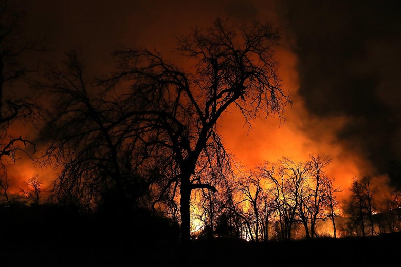 REDDING, CA - JULY 27:  An orange glow from the Carr Fire lights up burnt trees as the fire burns through dry brush on July 27, 2018 in Redding, California. A firefighter was killed battling the fast moving Carr Fire which has burned over 28,000 acres and destroyed dozens of homes. The fire is reportedly only 6 percent contained.  (Photo by Justin Sullivan/Getty Images)