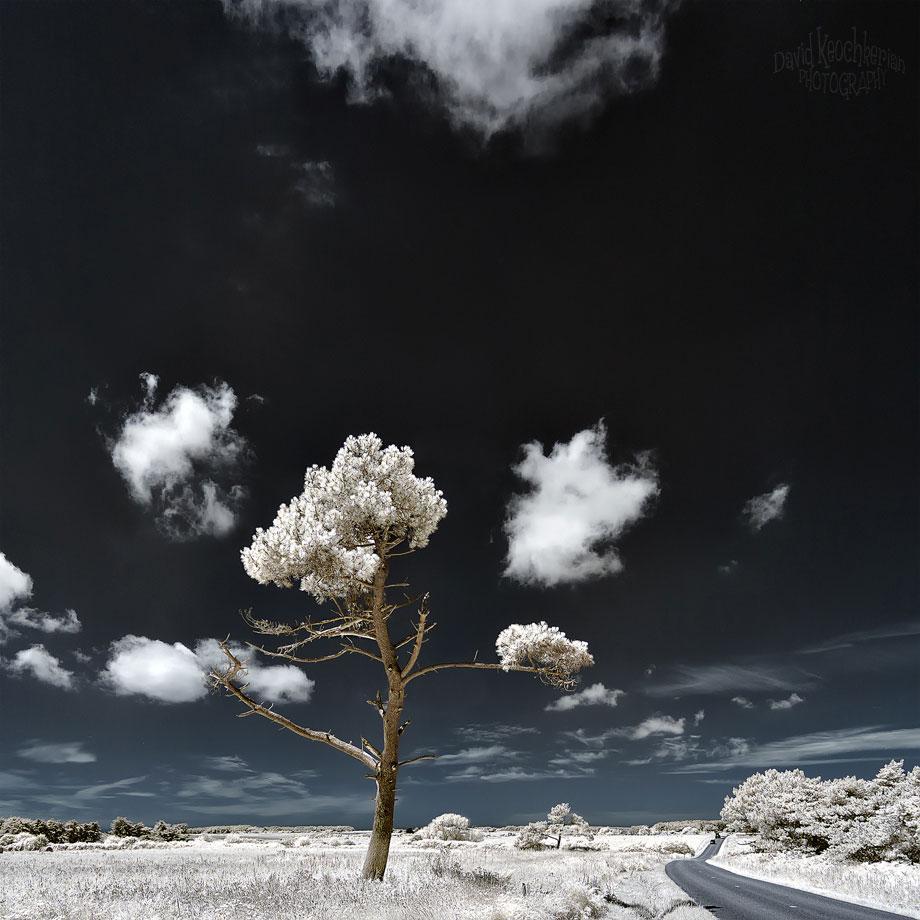 David Keochkerian The Dancer.