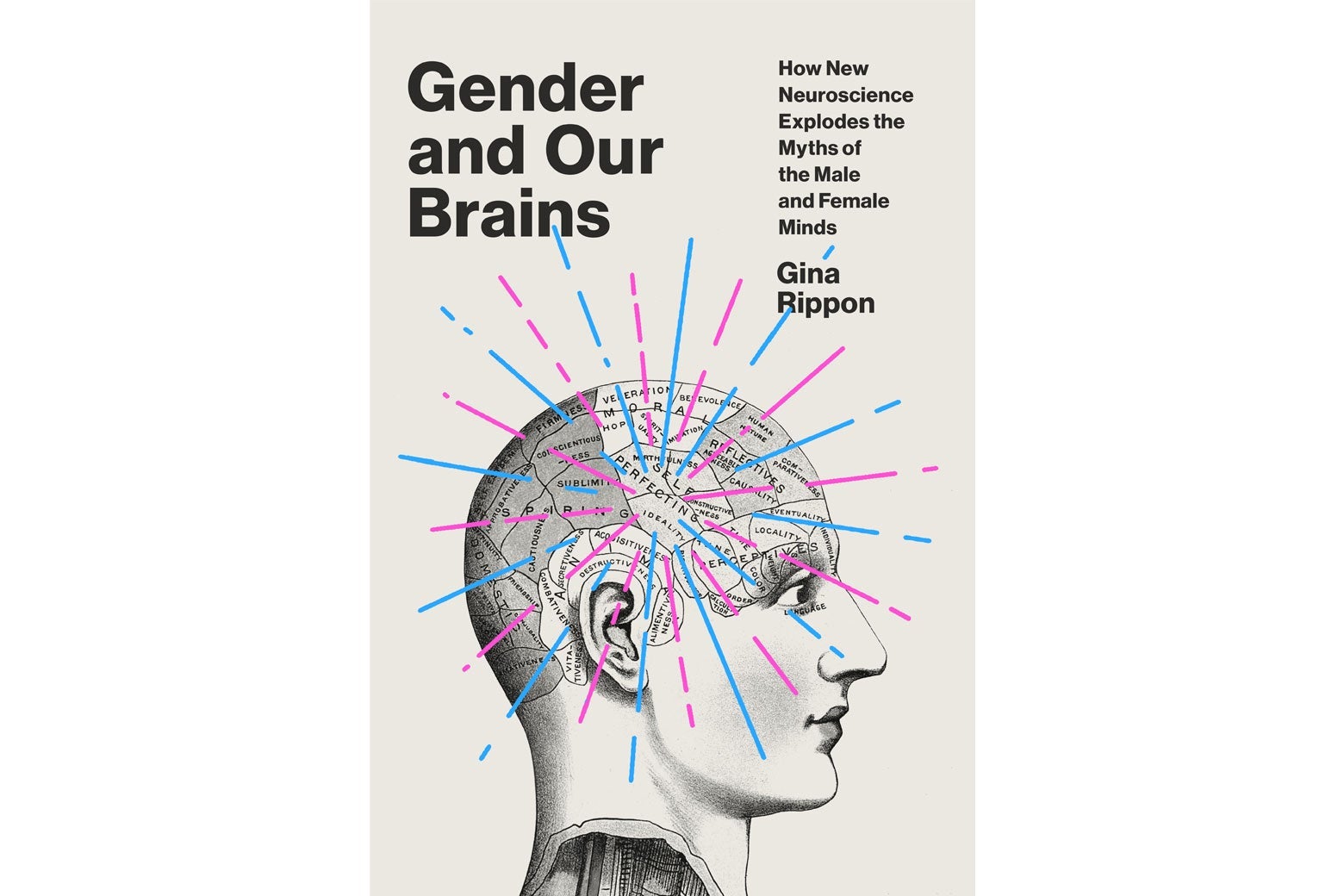 Gender and Our Brains book cover.