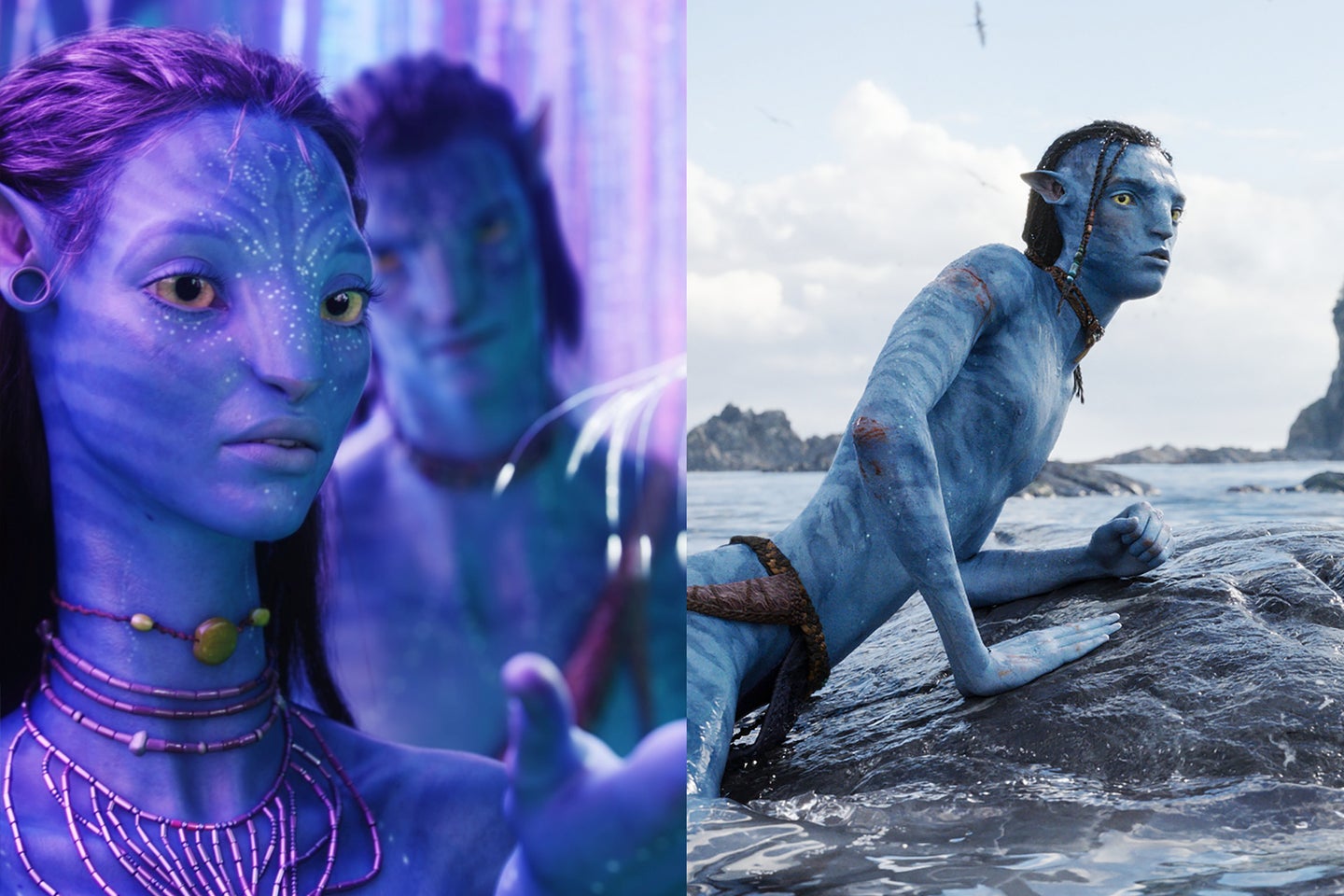 What Happened To Jake Sully At The End Of Avatar 1