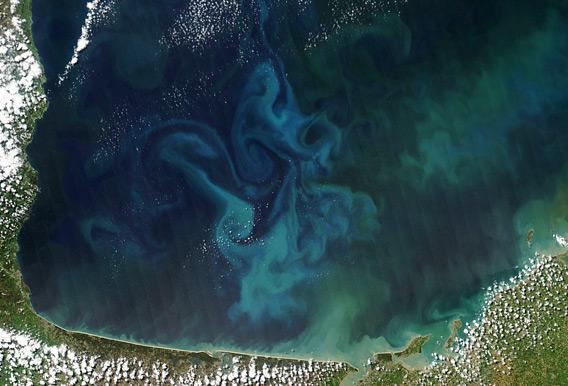 Phytoplankton bloom off the coast of France