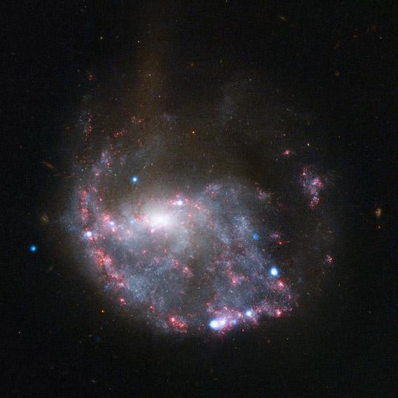 Hubble and Chandra composite view of NGC 922