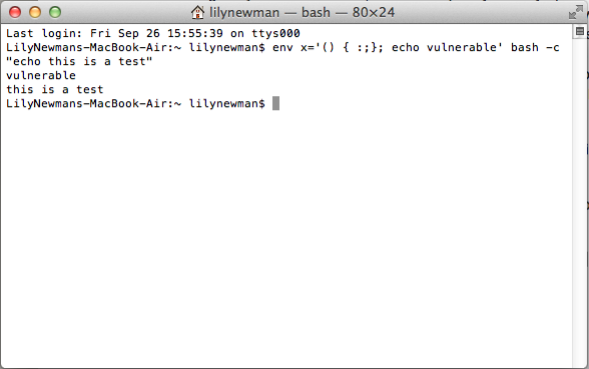 Successfully Tackling Shellshock Vulnerability