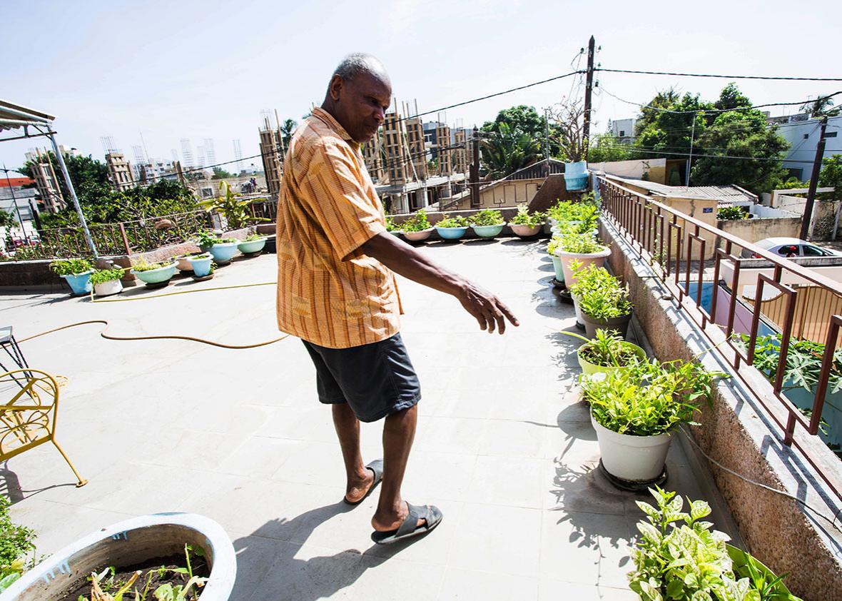 Jean Gomis shows off his rooftop collection of Vietnamese herbs.