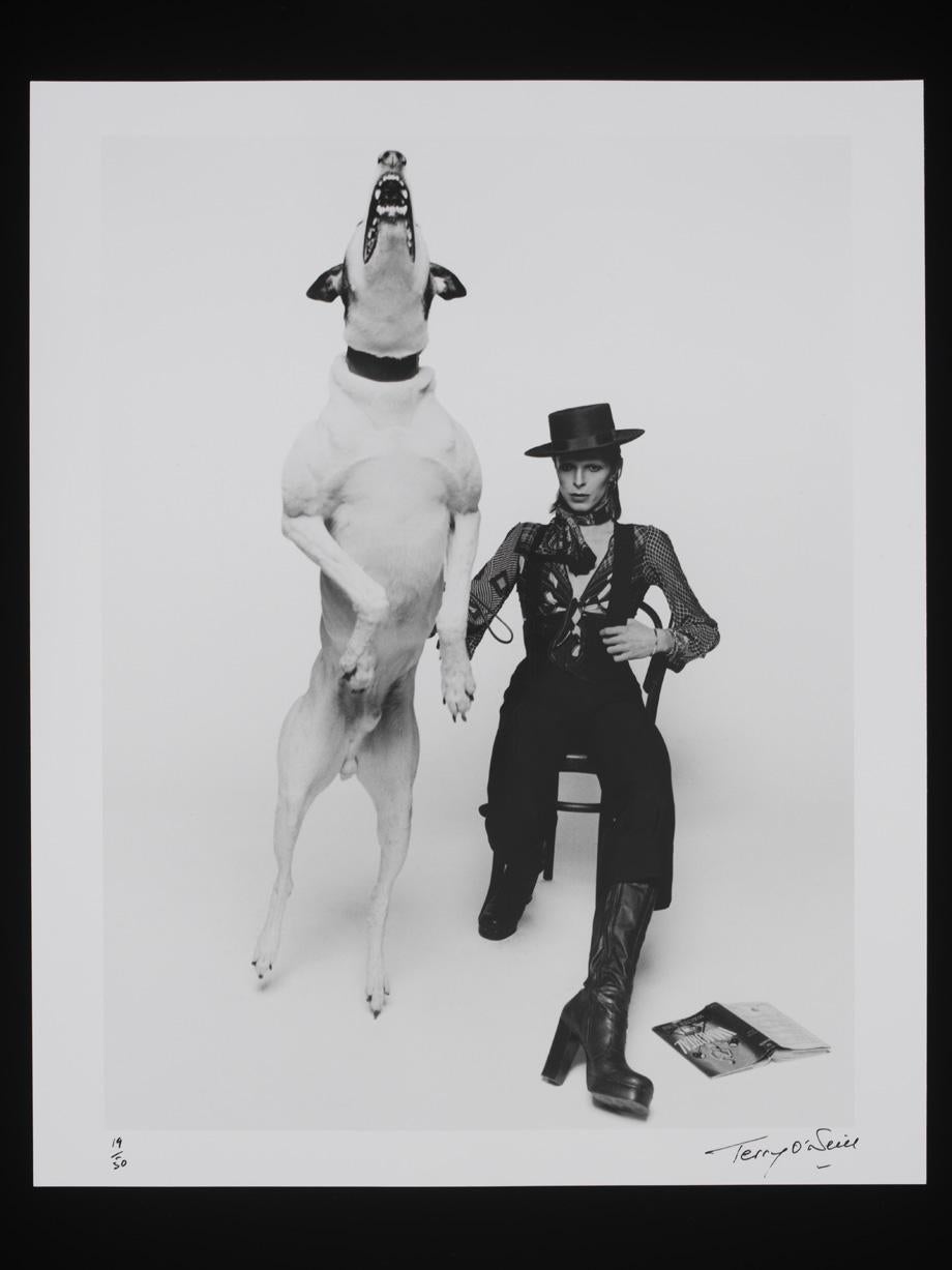 Photographs of David Bowie for Diamond Dogs, 1974.