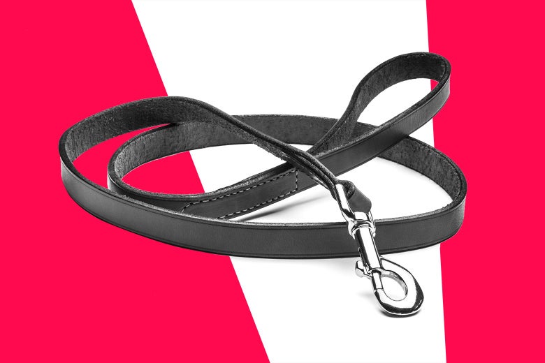 A dog leash in front of a pink and white background.