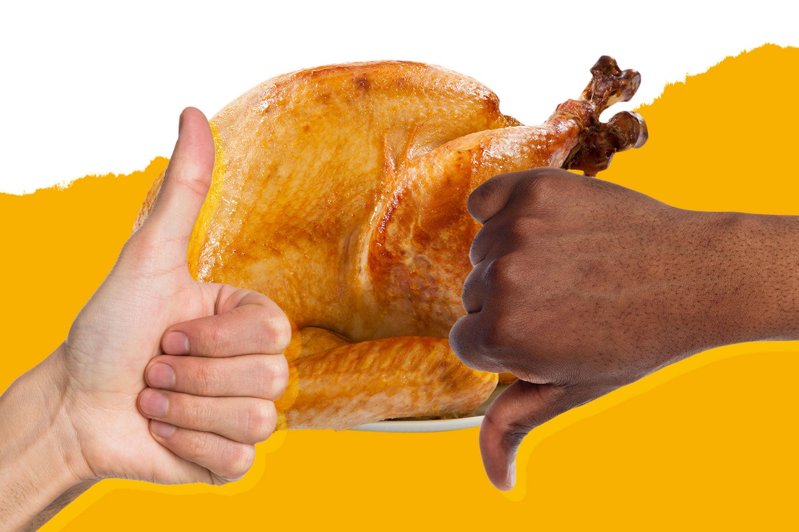 Someone giving a big snarky thumbs-down to a turkey next to someone giving a big goofy thumbs-UP to a turkey.