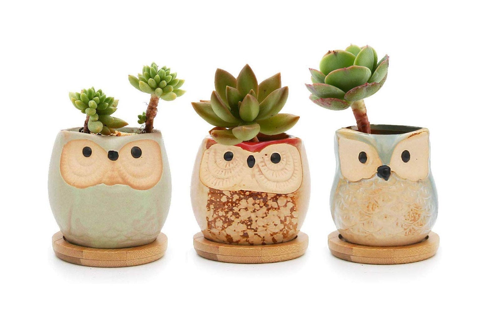 Owl planters.