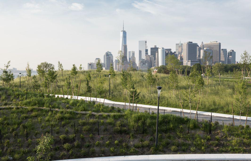 The Hills Governors Island Timothy Schenck 13