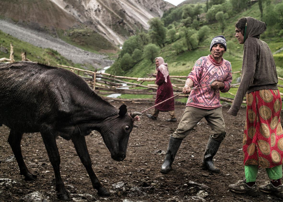 A family returns home 40 years after the Soviets forced them to leave.