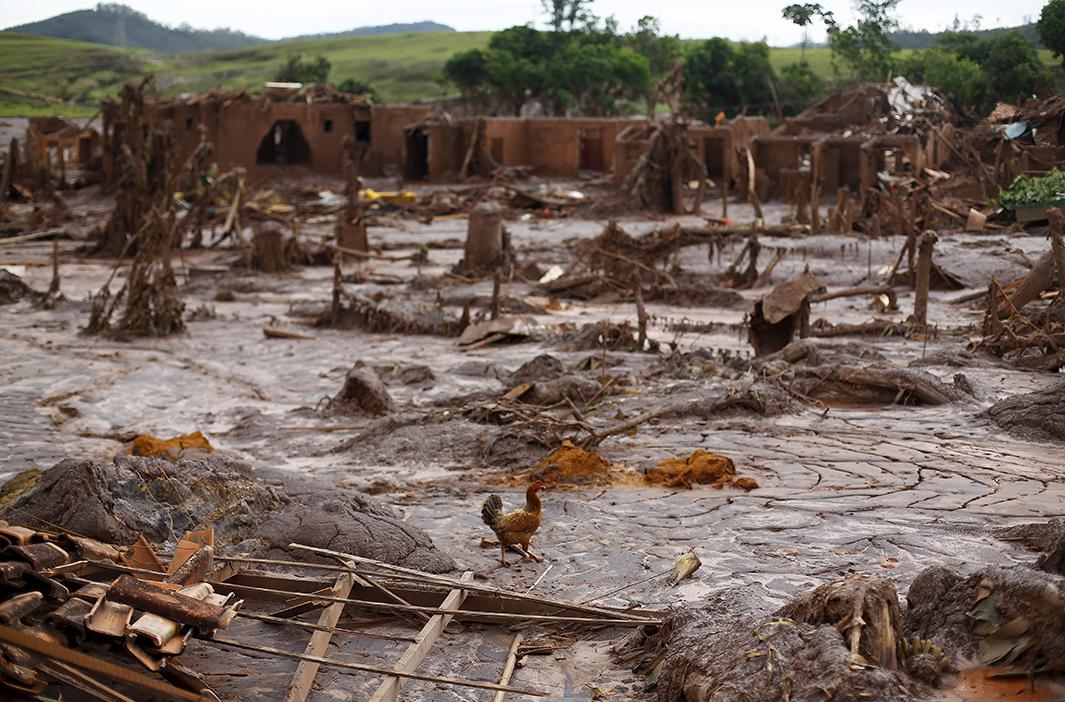 brazil's mining dam disaster photos.