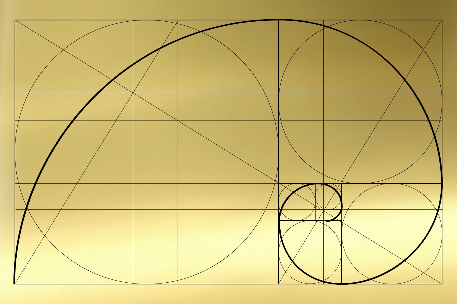 A golden rectangle filled with the golden spiral.