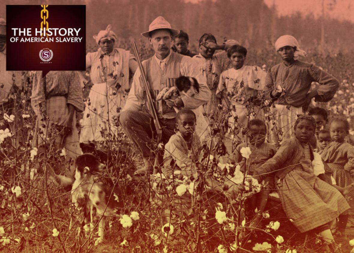 cotton plantations slavery