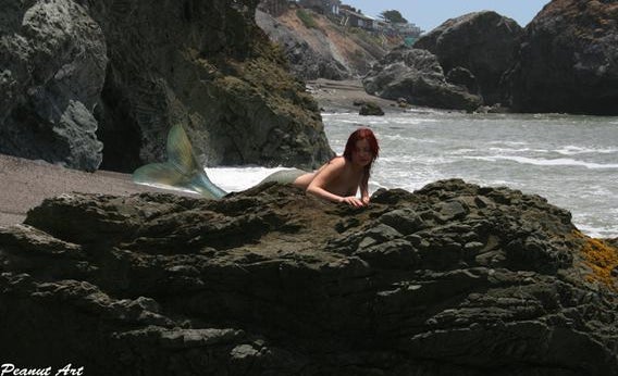 Mermaid Photo taken by SF Cop 