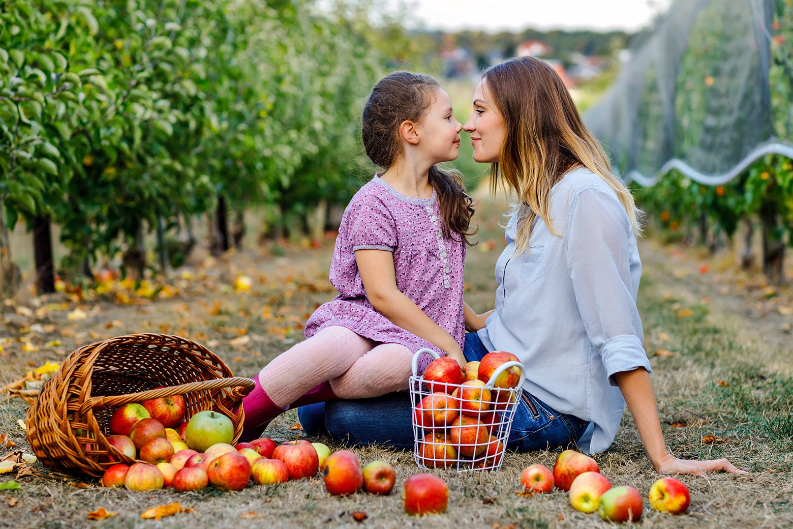 I Grew Up on an Apple Orchard. You-Pick Season Is Hell.