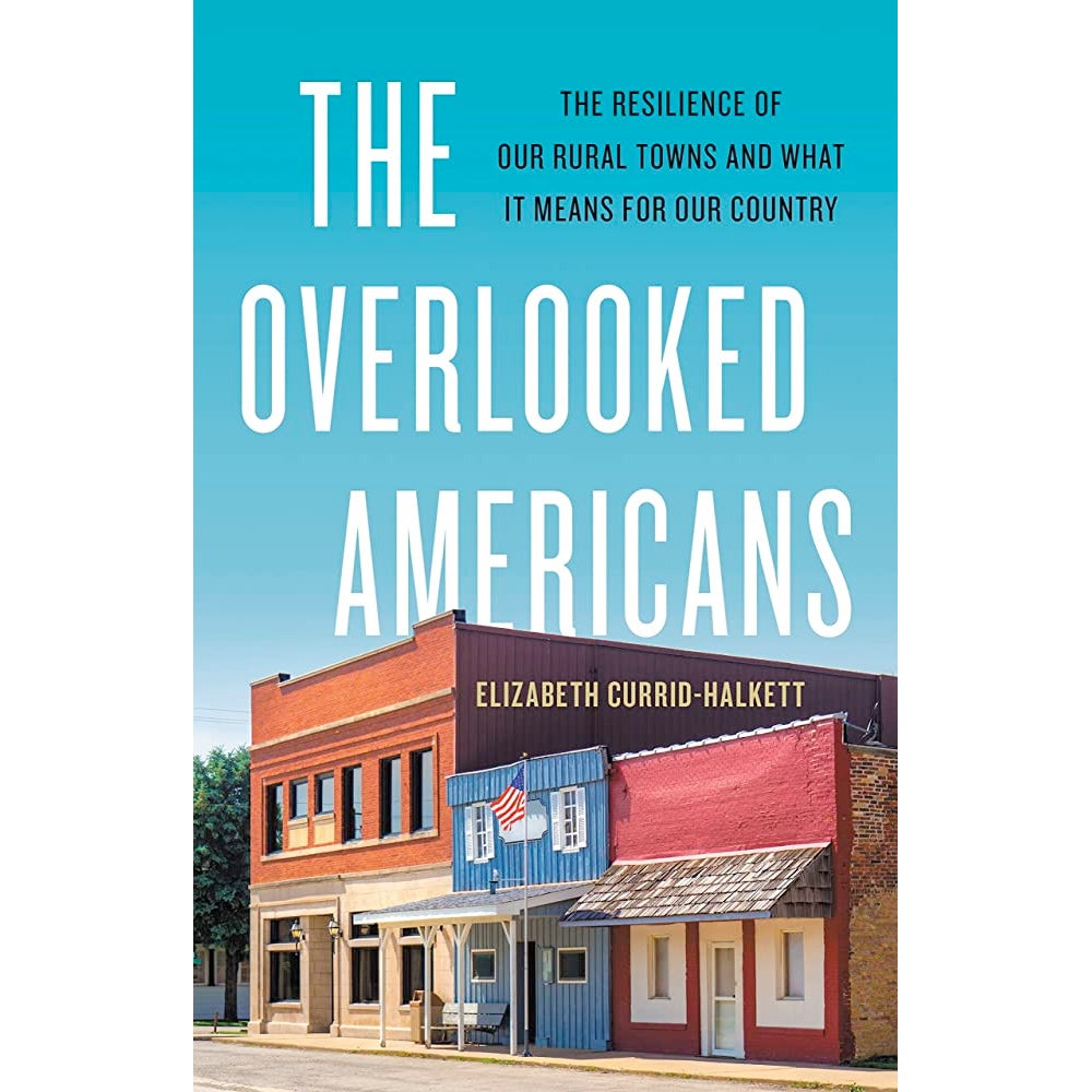 The cover of the book The Overlooked Americans is a painting of a stereotypical small-town Main Street with low brick buildings. 