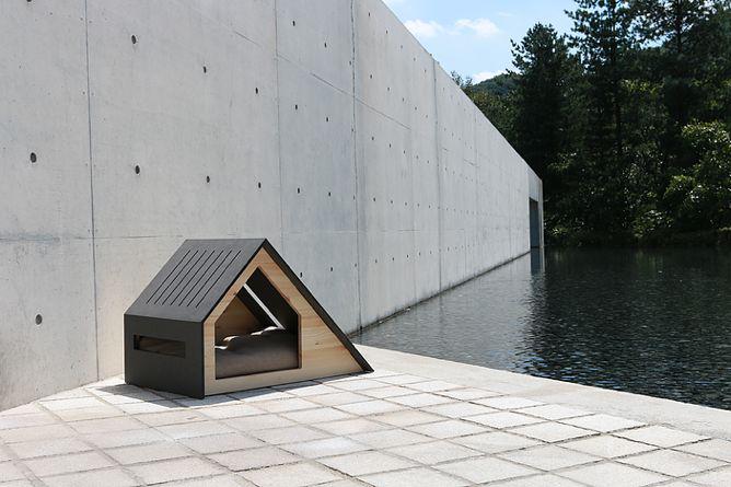 designer dog houses