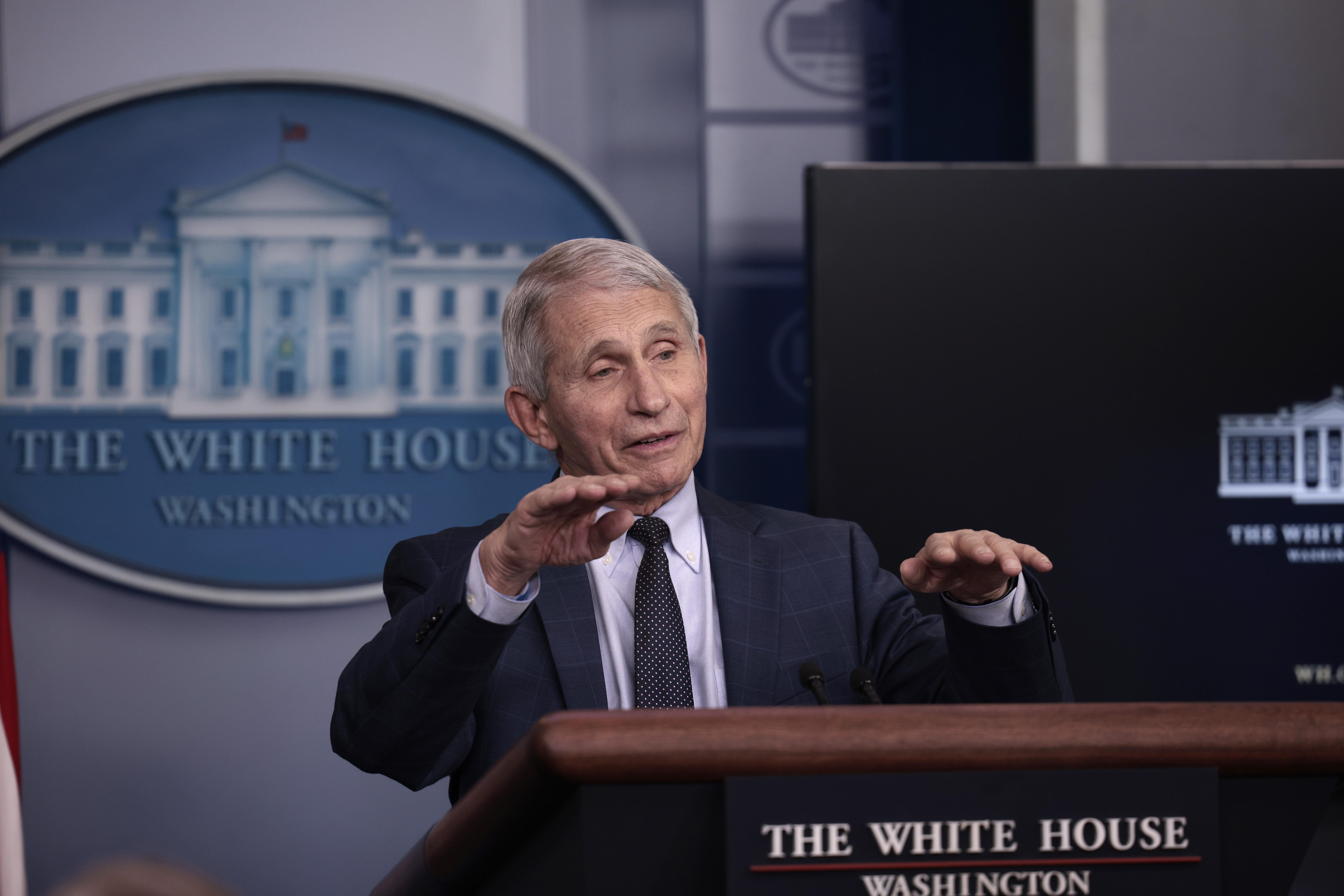 Fauci gestures with both hands as he speaks at a podium in the White House press briefing room