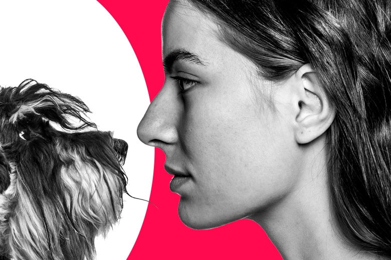 Help! I Hate My Friend’s Emotional Support Dog. Help! I Hate My Friend’s Emotional Support Dog.