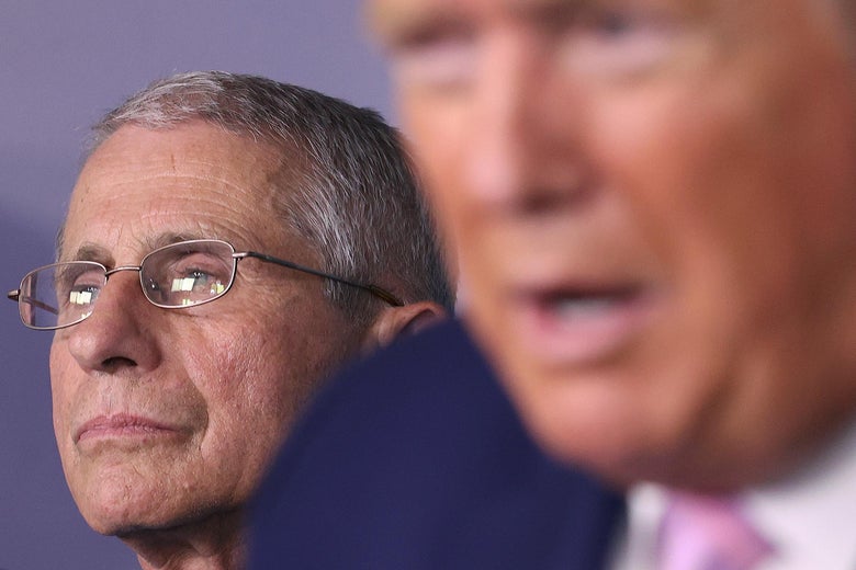 Dr. Fauci stands behind President Trump at the podium during a press briefing at the White House.