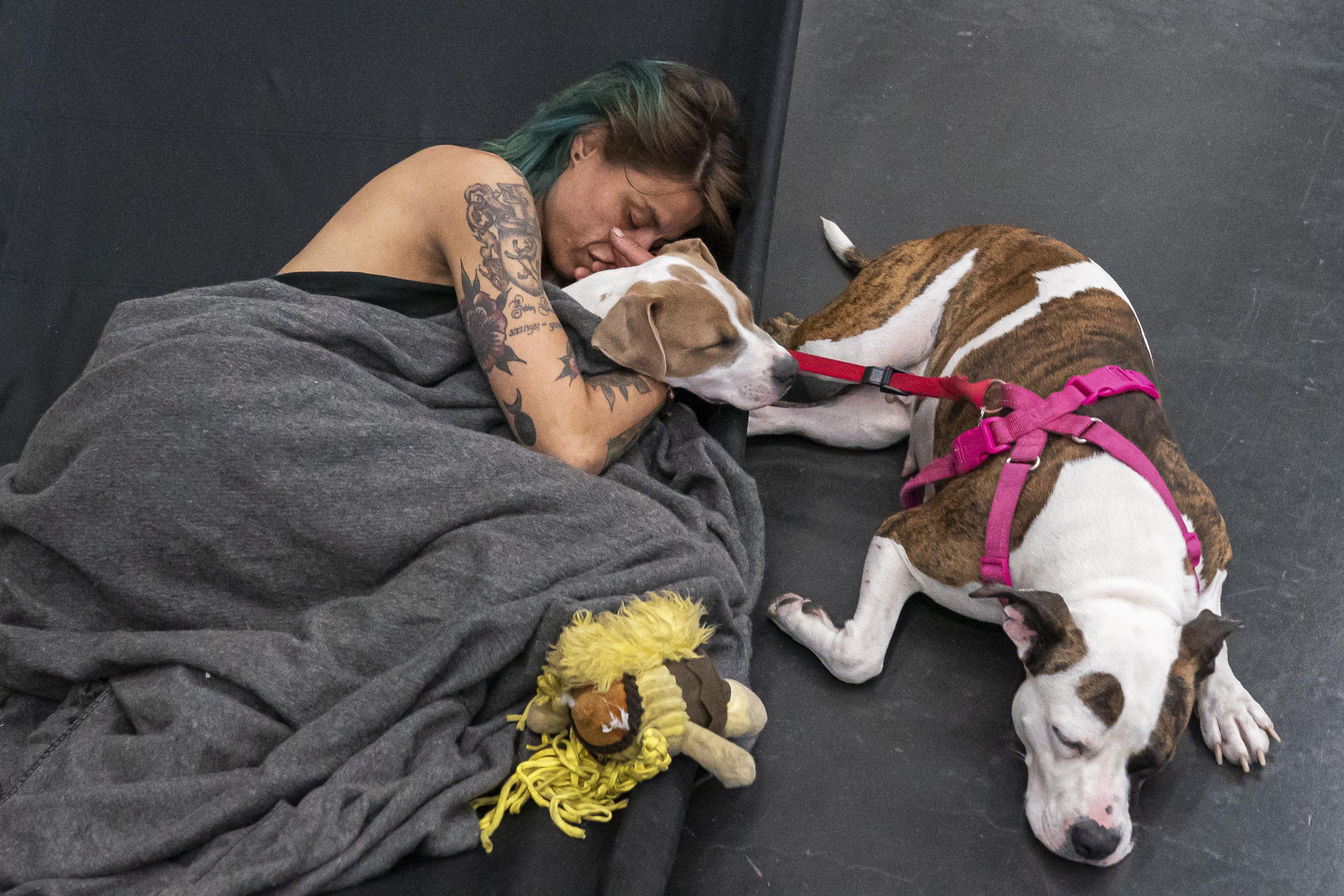 A woman under a blanket cuddles with one dog while another sits right next to them.