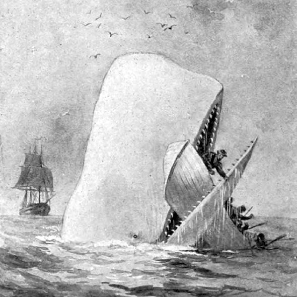 Illustration from an early edition of Moby Dick