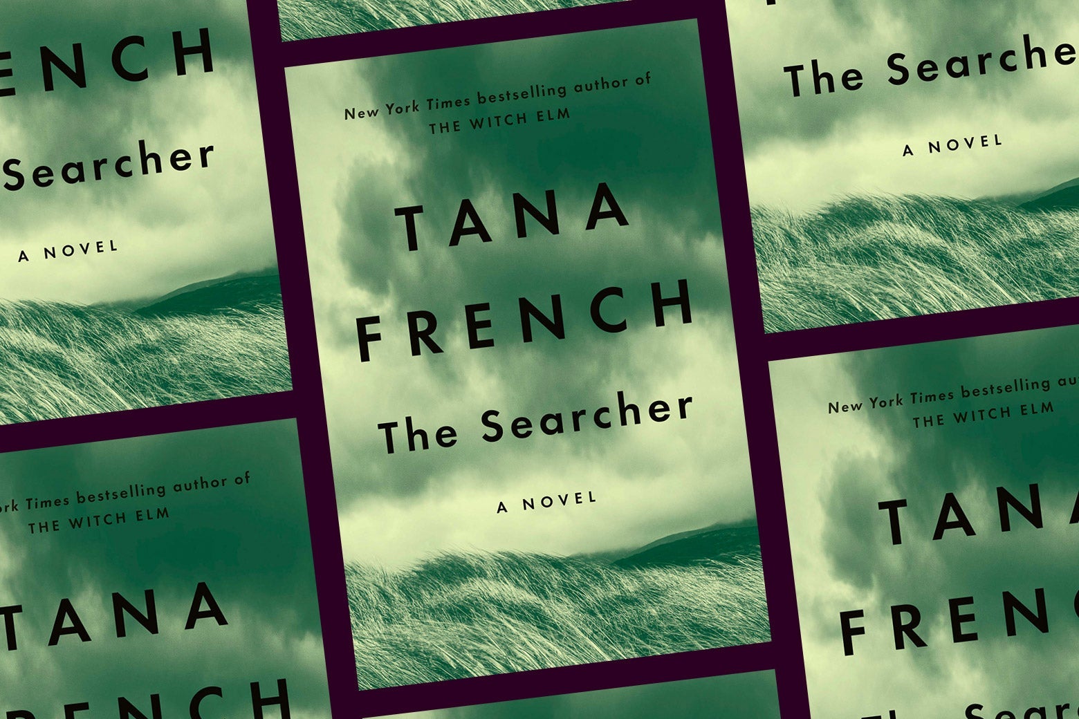 the searcher book tana french