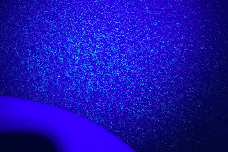 Close up of the rim of the toilet bowl. The bathroom lights are off and there is a black light shining. You can see specks of urine illuminated on the wall.