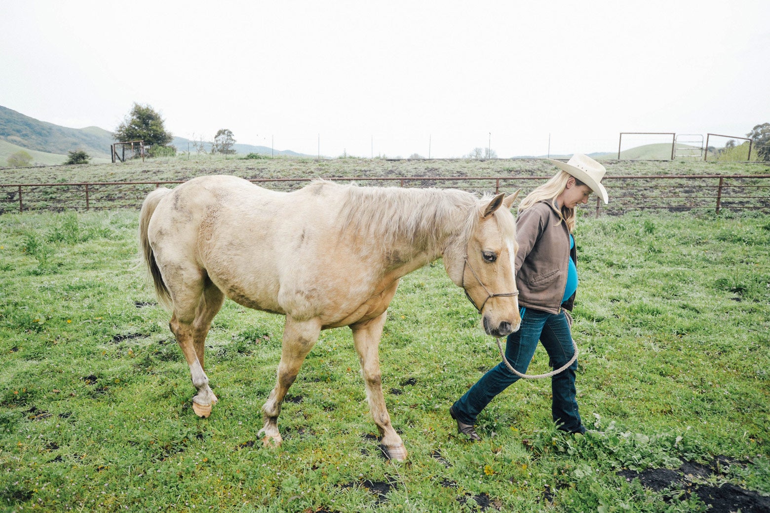 Elizabeth leads a horse through a field.