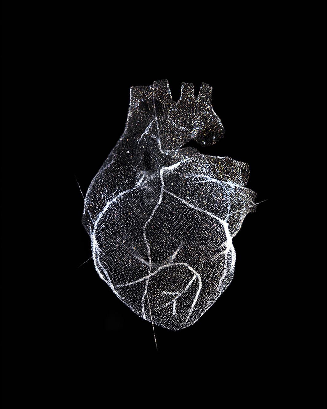 Glass Model of a Heart, 2012.