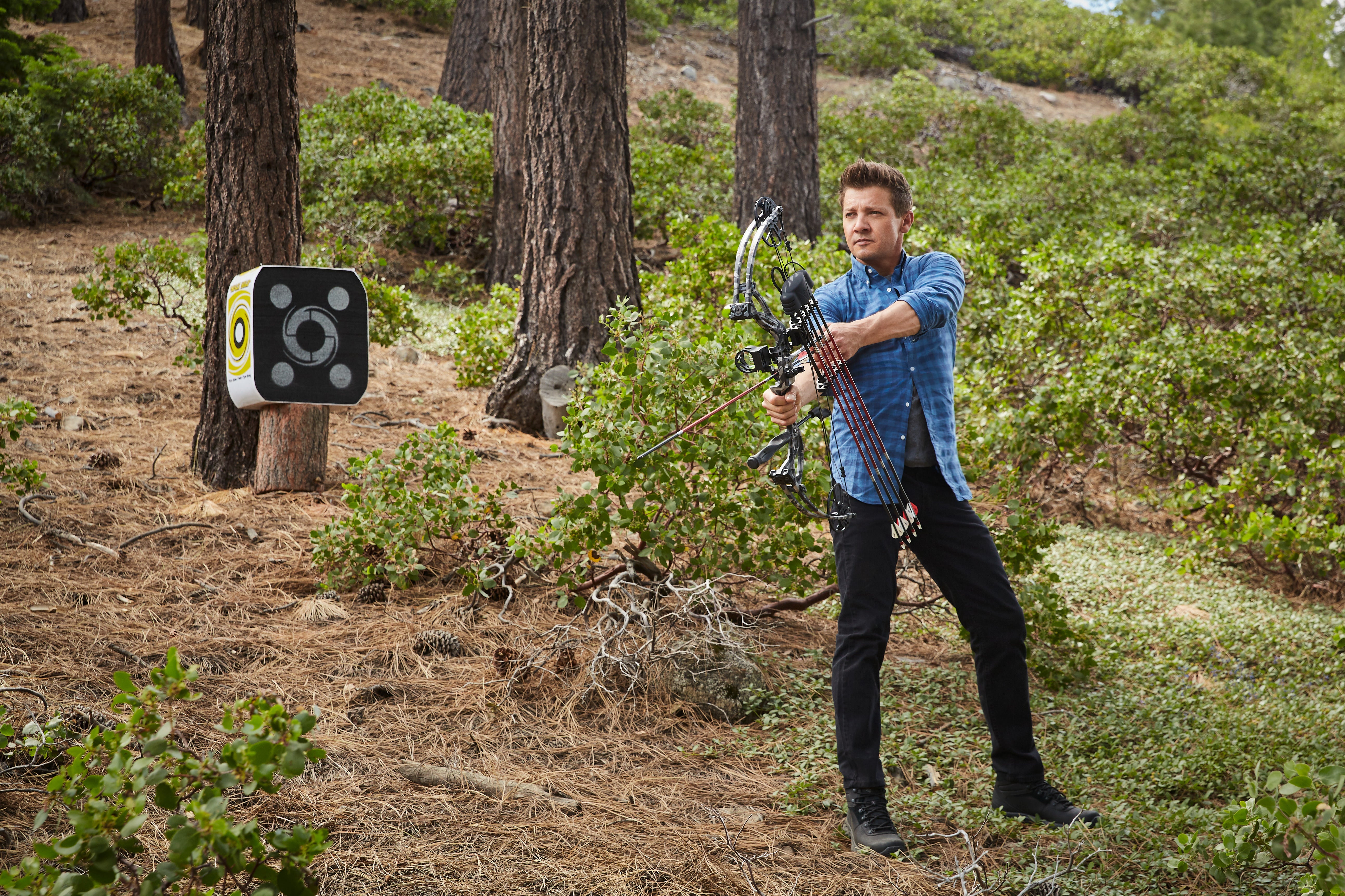 Jeremy Renner holds a bow and arrow, but points them away from a target on a nearby tree.