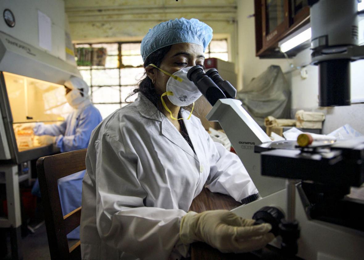 A researcher tests a sample in a surveillance laboratory in Bang