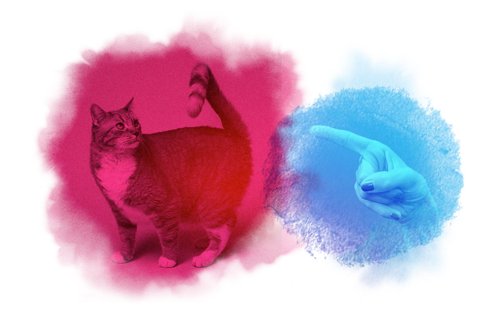 Your Tendency To Offer Unsolicited Pet Advice Is Upsetting Your Partner