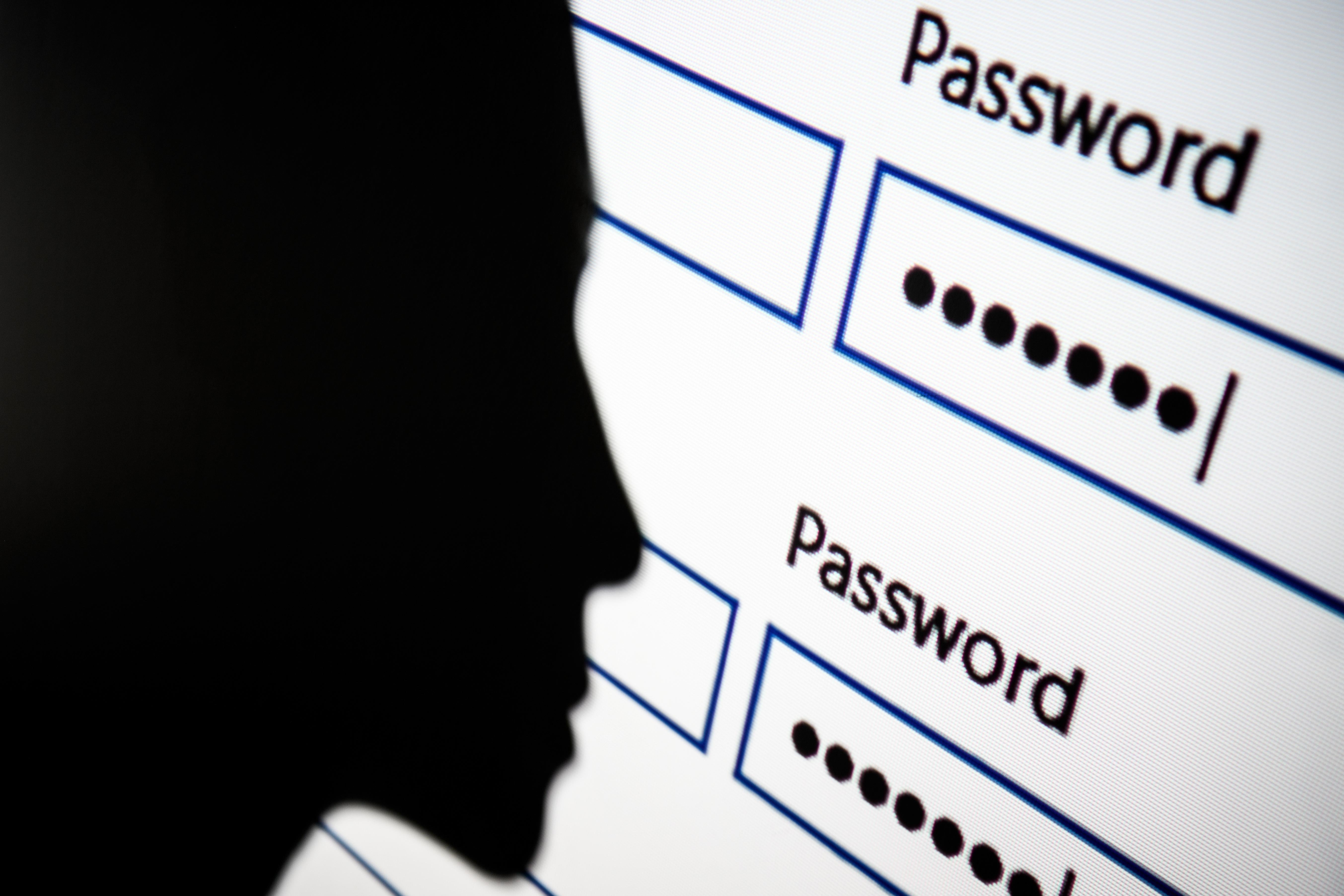 A woman is silhouetted against a projection of a password login page.